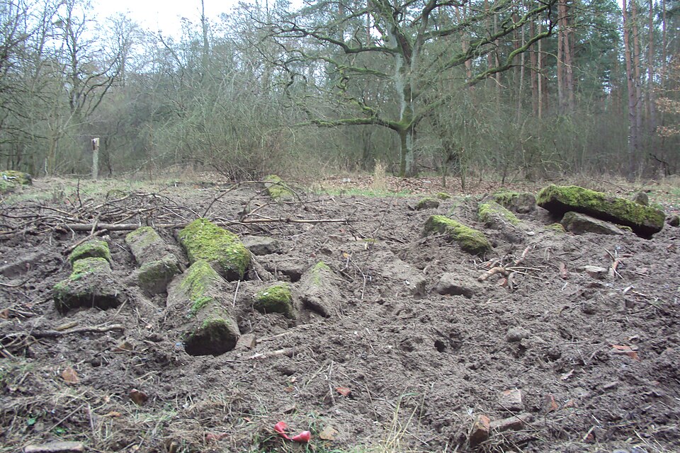 File:Łękinia - Friedrichsdorf 1.jpg
