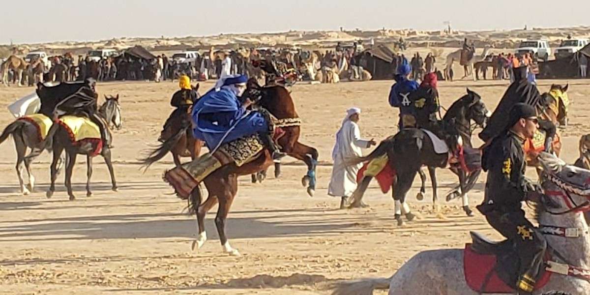 Berber Horsemanship at the International Festival of the Sahara