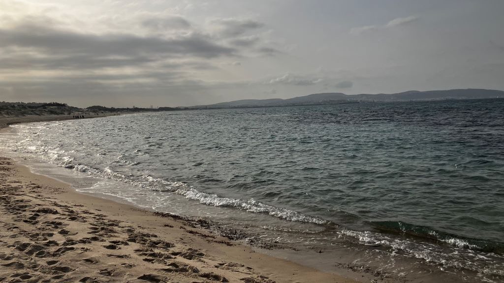 The beach is a perfect day trip activity
