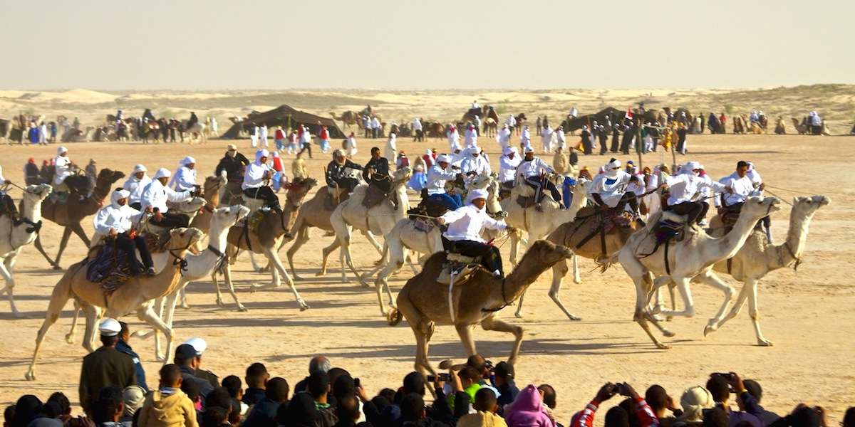 camel racing