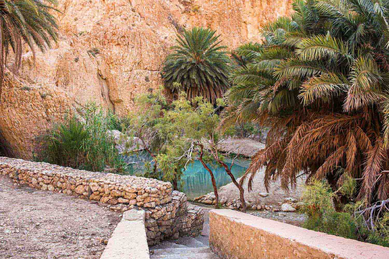 Chebika Oasis