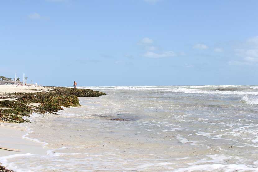 Beach in Djerba