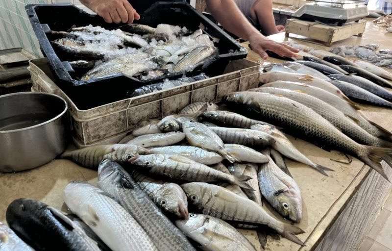Fresh fish for sale