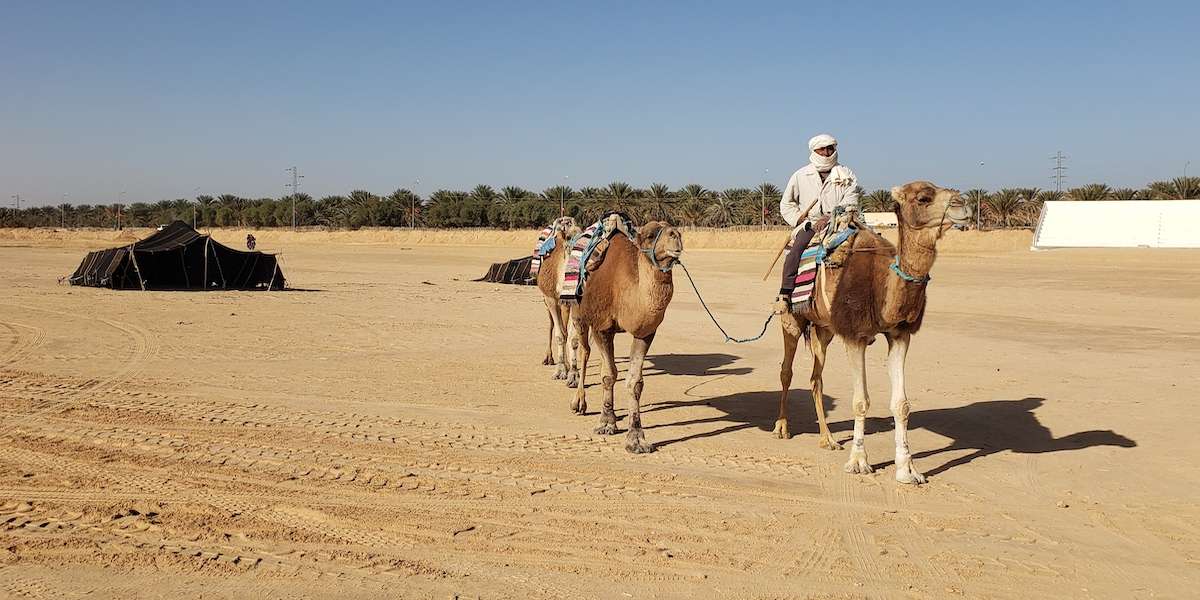 International Festival of the Sahara in Douz