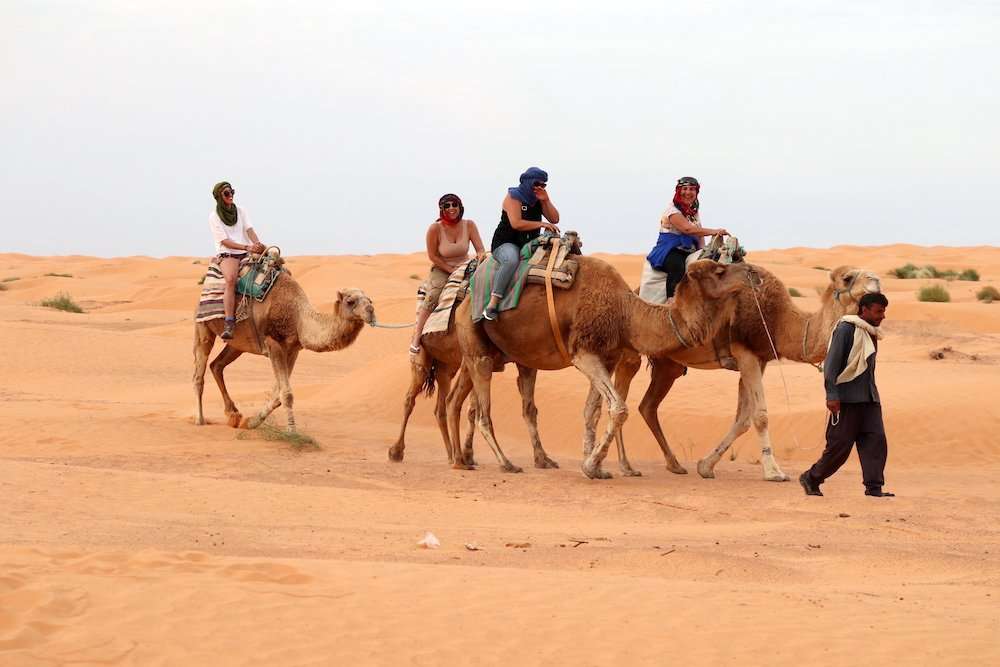 ksar ghilane desert camel riding