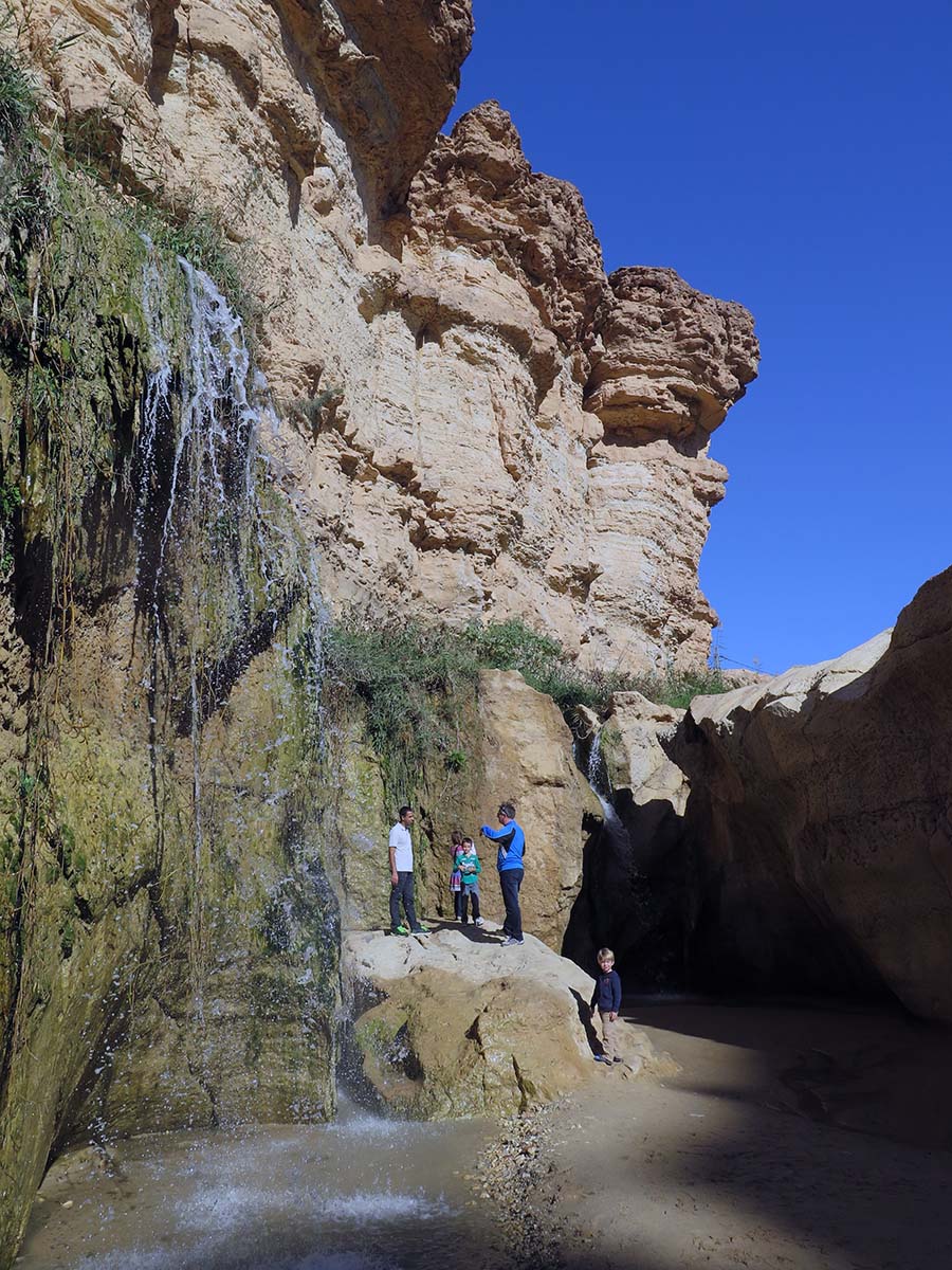 Tamerza Waterfall
