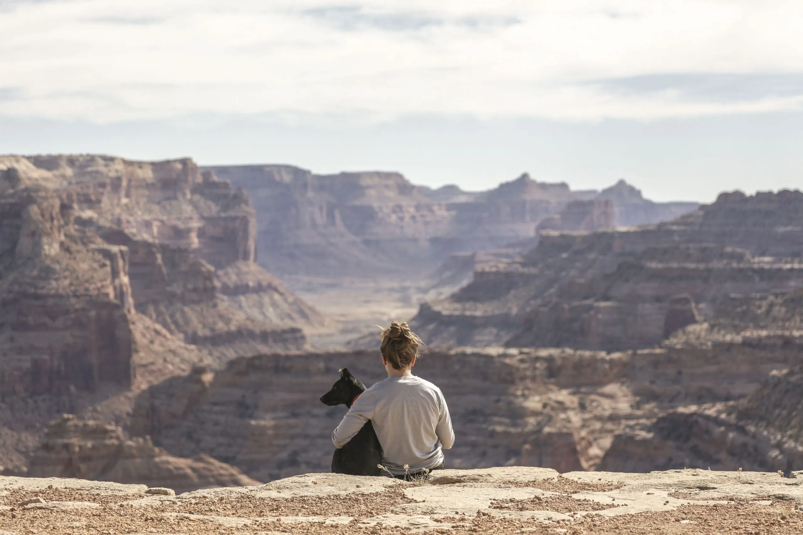 Female sitting at mountain top with dog